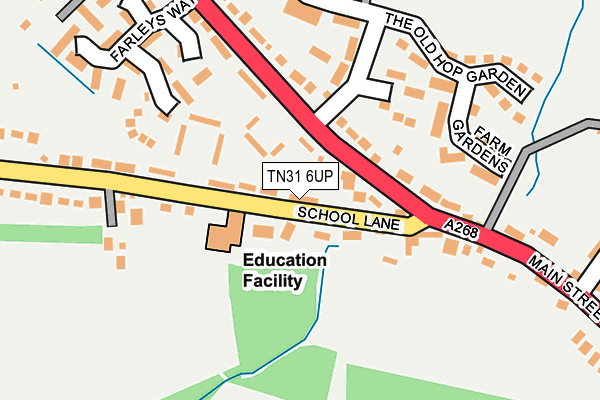 TN31 6UP map - OS OpenMap – Local (Ordnance Survey) TN31 6UP map - OS OpenMap – Local (Ordnance Survey)