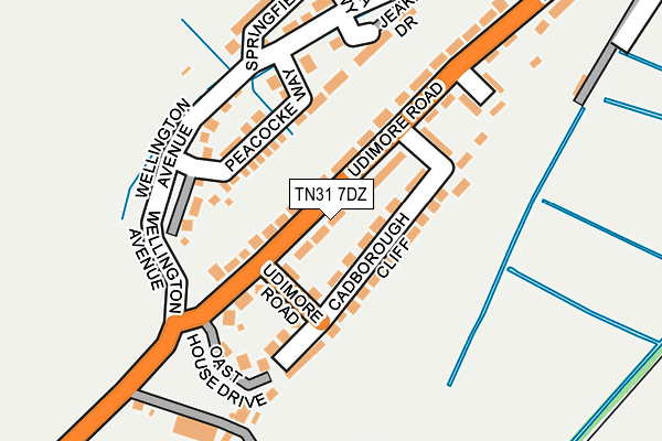 TN31 7DZ map - OS OpenMap – Local (Ordnance Survey) TN31 7DZ map - OS OpenMap – Local (Ordnance Survey)
