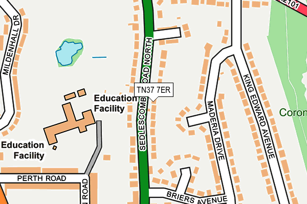 TN37 7ER map - OS OpenMap – Local (Ordnance Survey) TN37 7ER map - OS OpenMap – Local (Ordnance Survey)