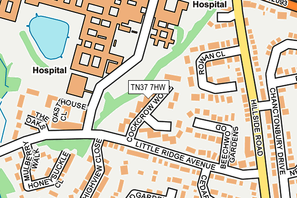 TN37 7HW map - OS OpenMap – Local (Ordnance Survey) TN37 7HW map - OS OpenMap – Local (Ordnance Survey)