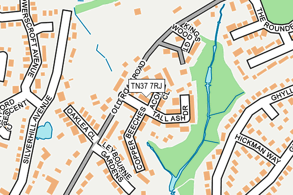 TN37 7RJ map - OS OpenMap – Local (Ordnance Survey) TN37 7RJ map - OS OpenMap – Local (Ordnance Survey)