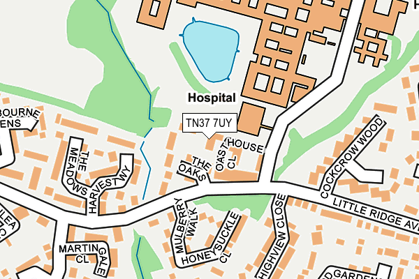 TN37 7UY map - OS OpenMap – Local (Ordnance Survey) TN37 7UY map - OS OpenMap – Local (Ordnance Survey)