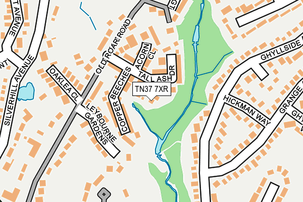 TN37 7XR map - OS OpenMap – Local (Ordnance Survey) TN37 7XR map - OS OpenMap – Local (Ordnance Survey)