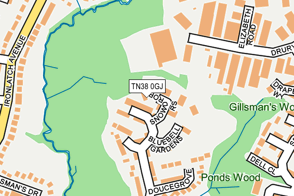 TN38 0GJ map - OS OpenMap – Local (Ordnance Survey) TN38 0GJ map - OS OpenMap – Local (Ordnance Survey)