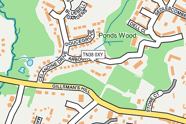 TN38 0XY map - OS OpenMap – Local (Ordnance Survey) TN38 0XY map - OS OpenMap – Local (Ordnance Survey)