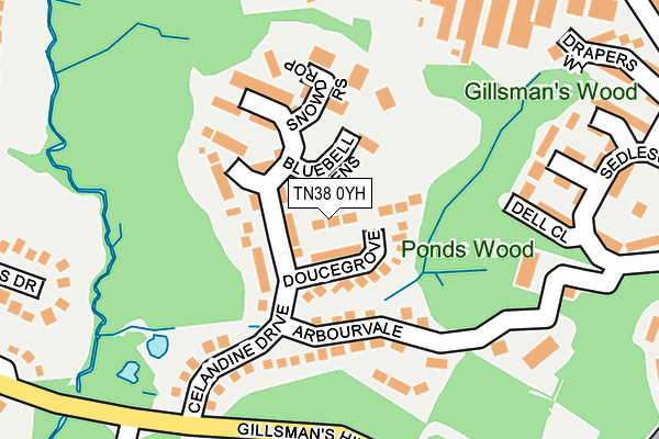 TN38 0YH map - OS OpenMap – Local (Ordnance Survey) TN38 0YH map - OS OpenMap – Local (Ordnance Survey)