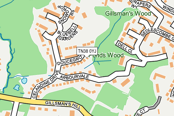 TN38 0YJ map - OS OpenMap – Local (Ordnance Survey) TN38 0YJ map - OS OpenMap – Local (Ordnance Survey)