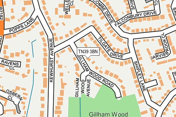 TN39 3BN map - OS OpenMap – Local (Ordnance Survey) TN39 3BN map - OS OpenMap – Local (Ordnance Survey)