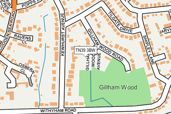 TN39 3BW map - OS OpenMap – Local (Ordnance Survey) TN39 3BW map - OS OpenMap – Local (Ordnance Survey)