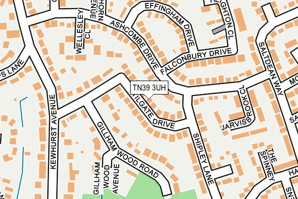 TN39 3UH map - OS OpenMap – Local (Ordnance Survey) TN39 3UH map - OS OpenMap – Local (Ordnance Survey)