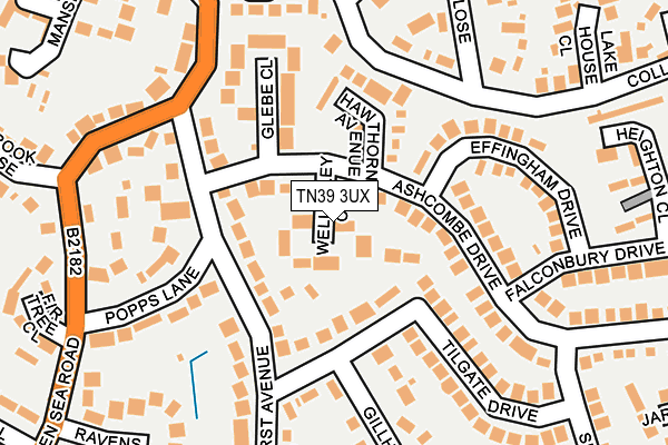 TN39 3UX map - OS OpenMap – Local (Ordnance Survey) TN39 3UX map - OS OpenMap – Local (Ordnance Survey)