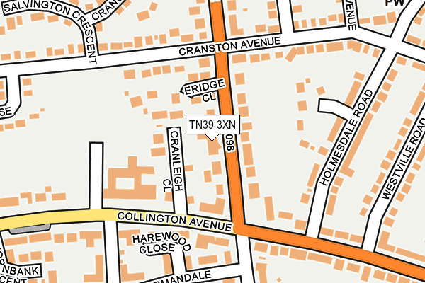TN39 3XN map - OS OpenMap – Local (Ordnance Survey) TN39 3XN map - OS OpenMap – Local (Ordnance Survey)