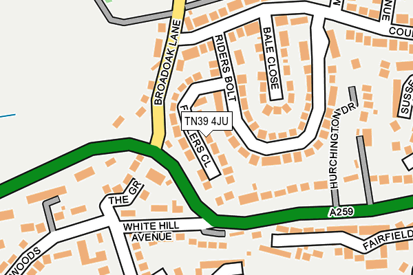 TN39 4JU map - OS OpenMap – Local (Ordnance Survey) TN39 4JU map - OS OpenMap – Local (Ordnance Survey)