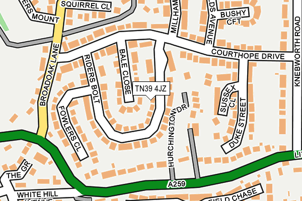 TN39 4JZ map - OS OpenMap – Local (Ordnance Survey) TN39 4JZ map - OS OpenMap – Local (Ordnance Survey)