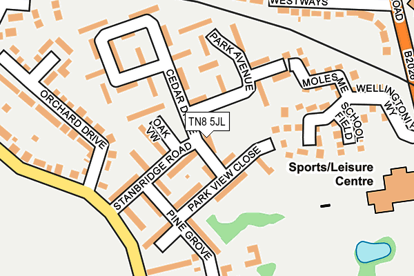 TN8 5JL map - OS OpenMap – Local (Ordnance Survey) TN8 5JL map - OS OpenMap – Local (Ordnance Survey)