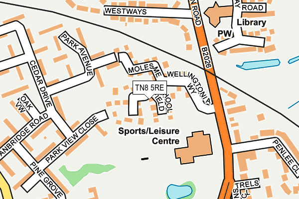 TN8 5RE map - OS OpenMap – Local (Ordnance Survey) TN8 5RE map - OS OpenMap – Local (Ordnance Survey)