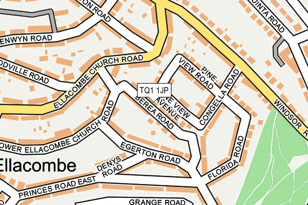 TQ1 1JP map - OS OpenMap – Local (Ordnance Survey)