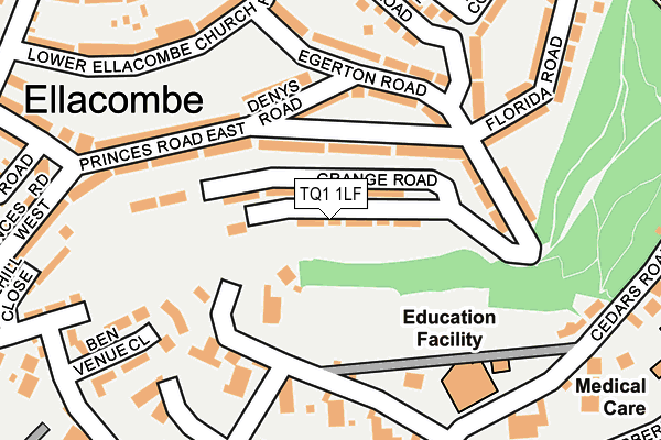TQ1 1LF map - OS OpenMap – Local (Ordnance Survey)