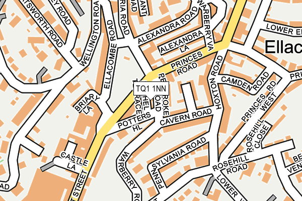 TQ1 1NN map - OS OpenMap – Local (Ordnance Survey)