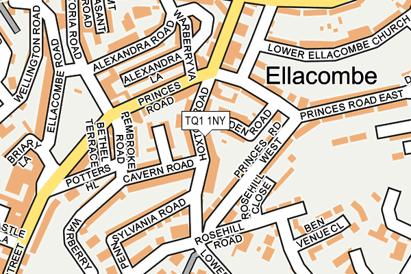 TQ1 1NY map - OS OpenMap – Local (Ordnance Survey)