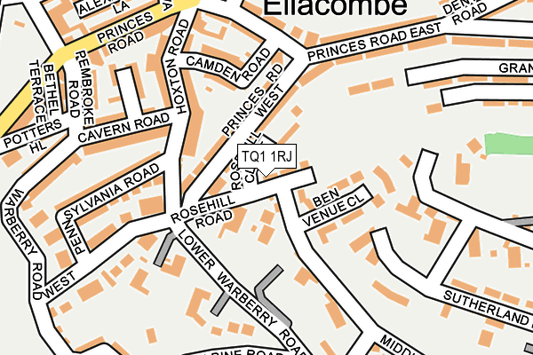 TQ1 1RJ map - OS OpenMap – Local (Ordnance Survey)