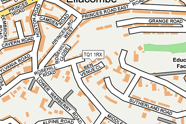 TQ1 1RX map - OS OpenMap – Local (Ordnance Survey)