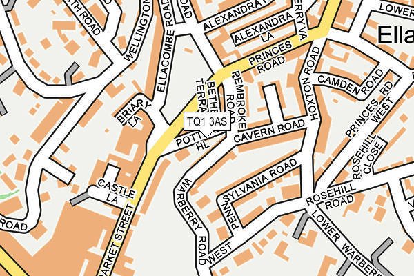 TQ1 3AS map - OS OpenMap – Local (Ordnance Survey) TQ1 3AS map - OS OpenMap – Local (Ordnance Survey)