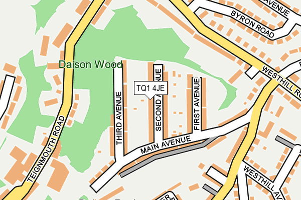 TQ1 4JE map - OS OpenMap – Local (Ordnance Survey)
