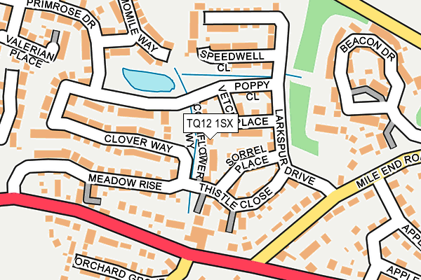 TQ12 1SX map - OS OpenMap – Local (Ordnance Survey) TQ12 1SX map - OS OpenMap – Local (Ordnance Survey)