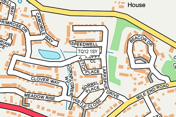 TQ12 1SY map - OS OpenMap – Local (Ordnance Survey)
