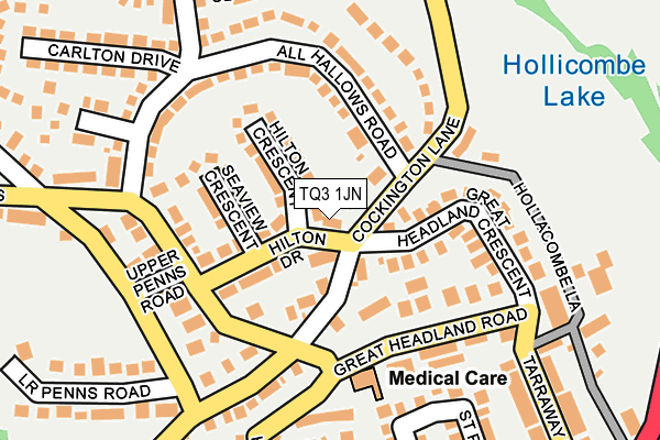 TQ3 1JN map - OS OpenMap – Local (Ordnance Survey)