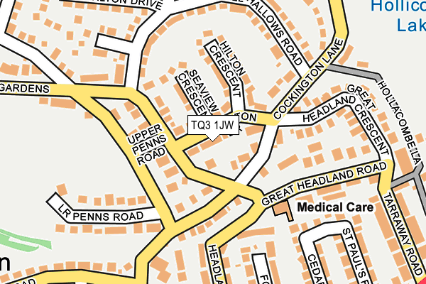 TQ3 1JW map - OS OpenMap – Local (Ordnance Survey)