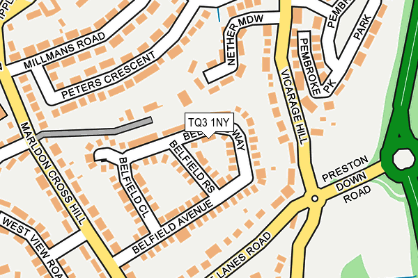 TQ3 1NY map - OS OpenMap – Local (Ordnance Survey)