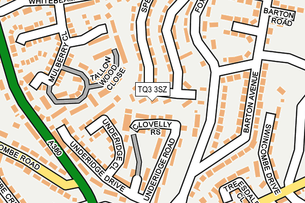 TQ3 3SZ map - OS OpenMap – Local (Ordnance Survey) TQ3 3SZ map - OS OpenMap – Local (Ordnance Survey)