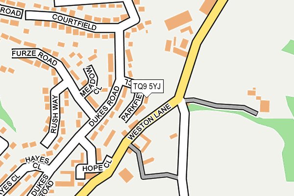 TQ9 5YJ map - OS OpenMap – Local (Ordnance Survey) TQ9 5YJ map - OS OpenMap – Local (Ordnance Survey)