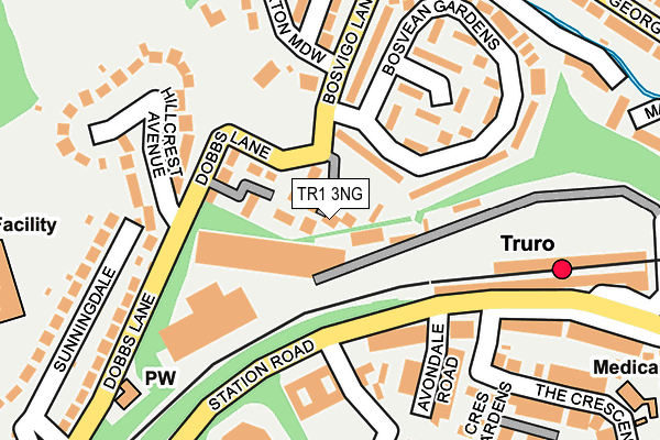 TR1 3NG map - OS OpenMap – Local (Ordnance Survey) TR1 3NG map - OS OpenMap – Local (Ordnance Survey)