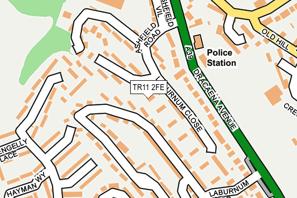 TR11 2FE map - OS OpenMap – Local (Ordnance Survey) TR11 2FE map - OS OpenMap – Local (Ordnance Survey)
