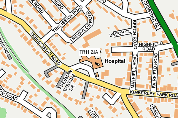 TR11 2JA map - OS OpenMap – Local (Ordnance Survey) TR11 2JA map - OS OpenMap – Local (Ordnance Survey)