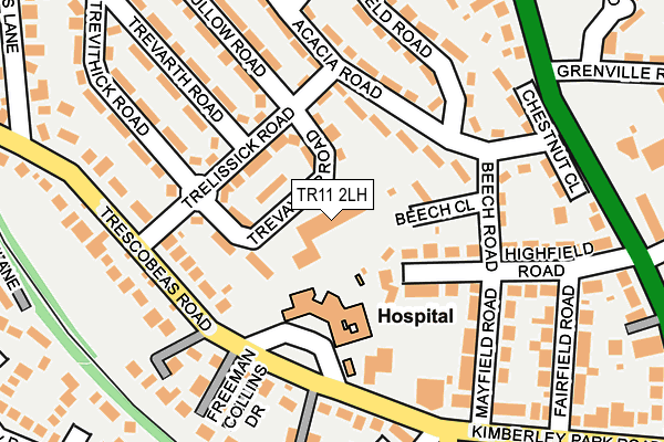 TR11 2LH map - OS OpenMap – Local (Ordnance Survey) TR11 2LH map - OS OpenMap – Local (Ordnance Survey)