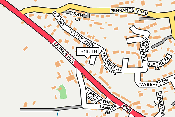 TR16 5TB map - OS OpenMap – Local (Ordnance Survey) TR16 5TB map - OS OpenMap – Local (Ordnance Survey)