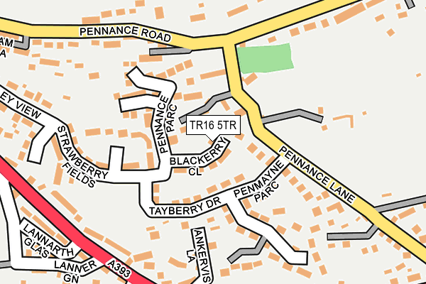TR16 5TR map - OS OpenMap – Local (Ordnance Survey) TR16 5TR map - OS OpenMap – Local (Ordnance Survey)