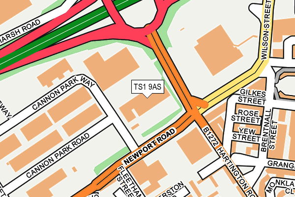 TS1 9AS map - OS OpenMap – Local (Ordnance Survey) TS1 9AS map - OS OpenMap – Local (Ordnance Survey)