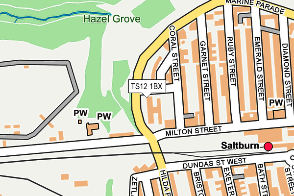 TS12 1BX map - OS OpenMap – Local (Ordnance Survey) TS12 1BX map - OS OpenMap – Local (Ordnance Survey)