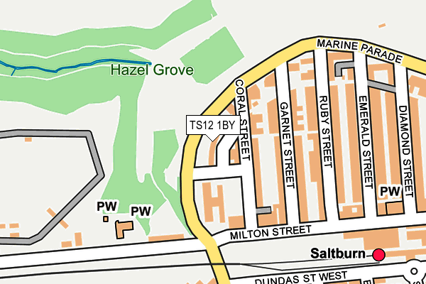TS12 1BY map - OS OpenMap – Local (Ordnance Survey) TS12 1BY map - OS OpenMap – Local (Ordnance Survey)