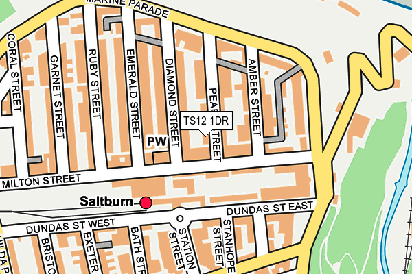 TS12 1DR map - OS OpenMap – Local (Ordnance Survey) TS12 1DR map - OS OpenMap – Local (Ordnance Survey)