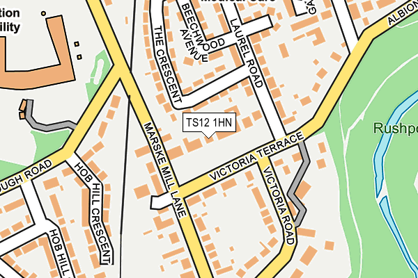 TS12 1HN map - OS OpenMap – Local (Ordnance Survey) TS12 1HN map - OS OpenMap – Local (Ordnance Survey)