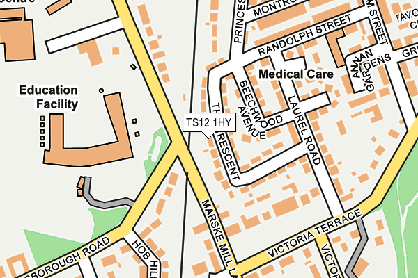 TS12 1HY map - OS OpenMap – Local (Ordnance Survey) TS12 1HY map - OS OpenMap – Local (Ordnance Survey)