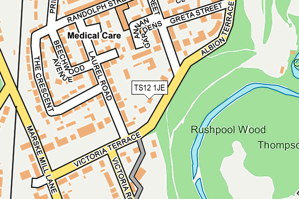 TS12 1JE map - OS OpenMap – Local (Ordnance Survey)