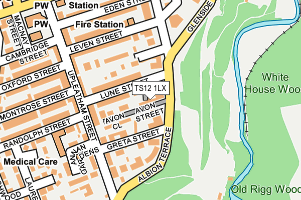 TS12 1LX map - OS OpenMap – Local (Ordnance Survey) TS12 1LX map - OS OpenMap – Local (Ordnance Survey)