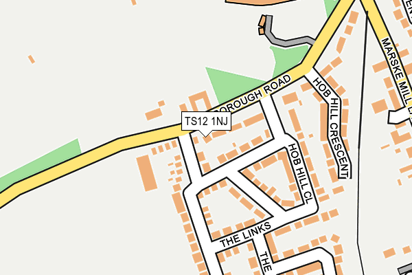 TS12 1NJ map - OS OpenMap – Local (Ordnance Survey)